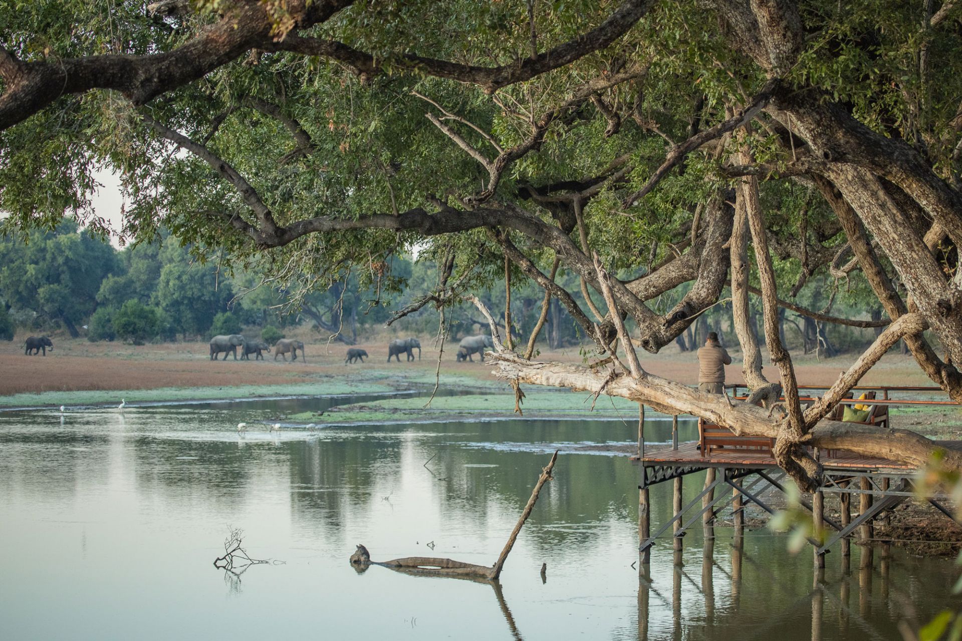 Tafika Camp en Luangwa Valley