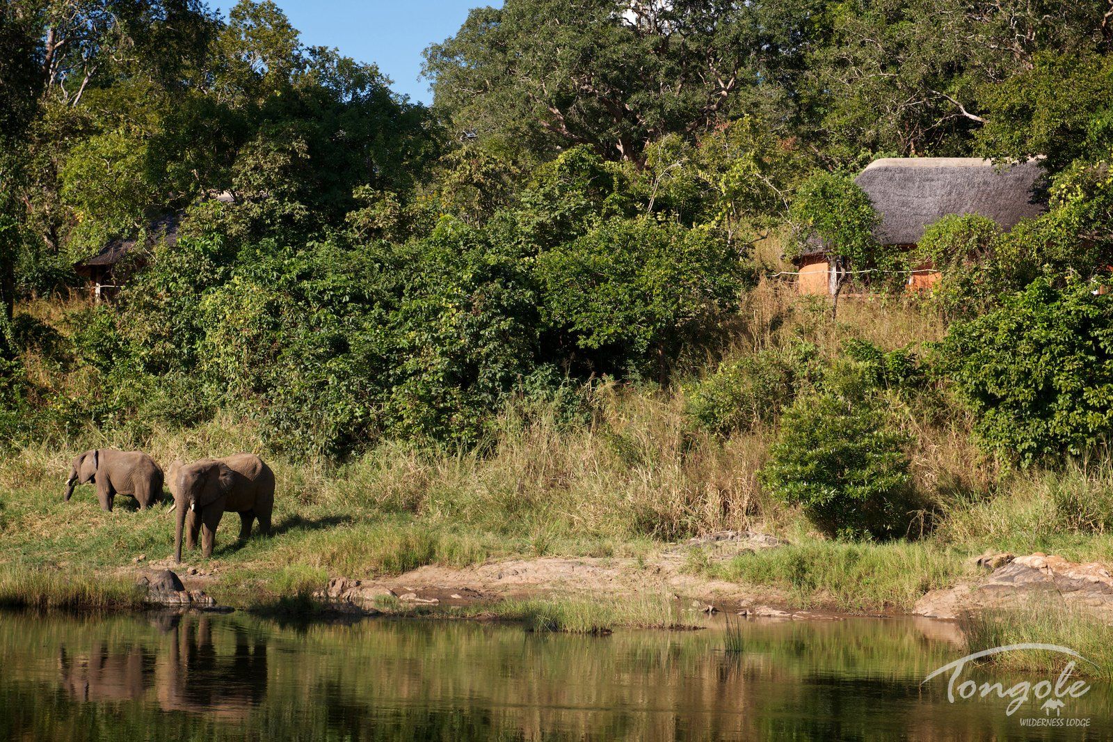 Tongole Wilderness Lodge en Reserva de Vida Silvestre de Nkhotakota