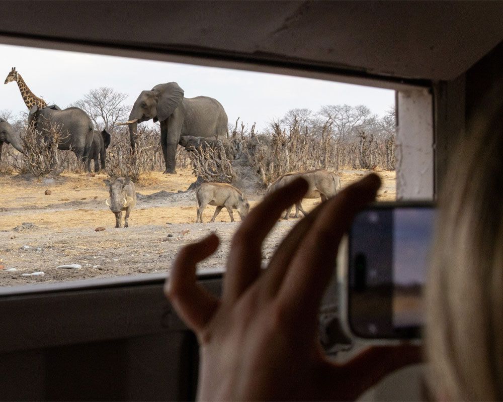 Tum Tum Treehouse Lodge en Hwange
