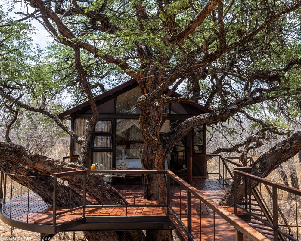 Tum Tum Treehouse Lodge en Hwange