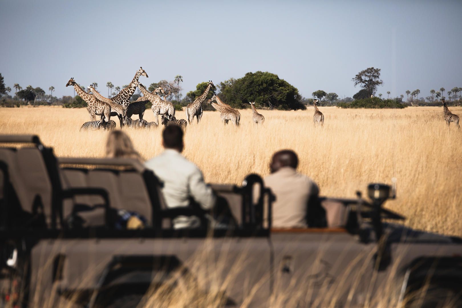 Tubu tree camp 20