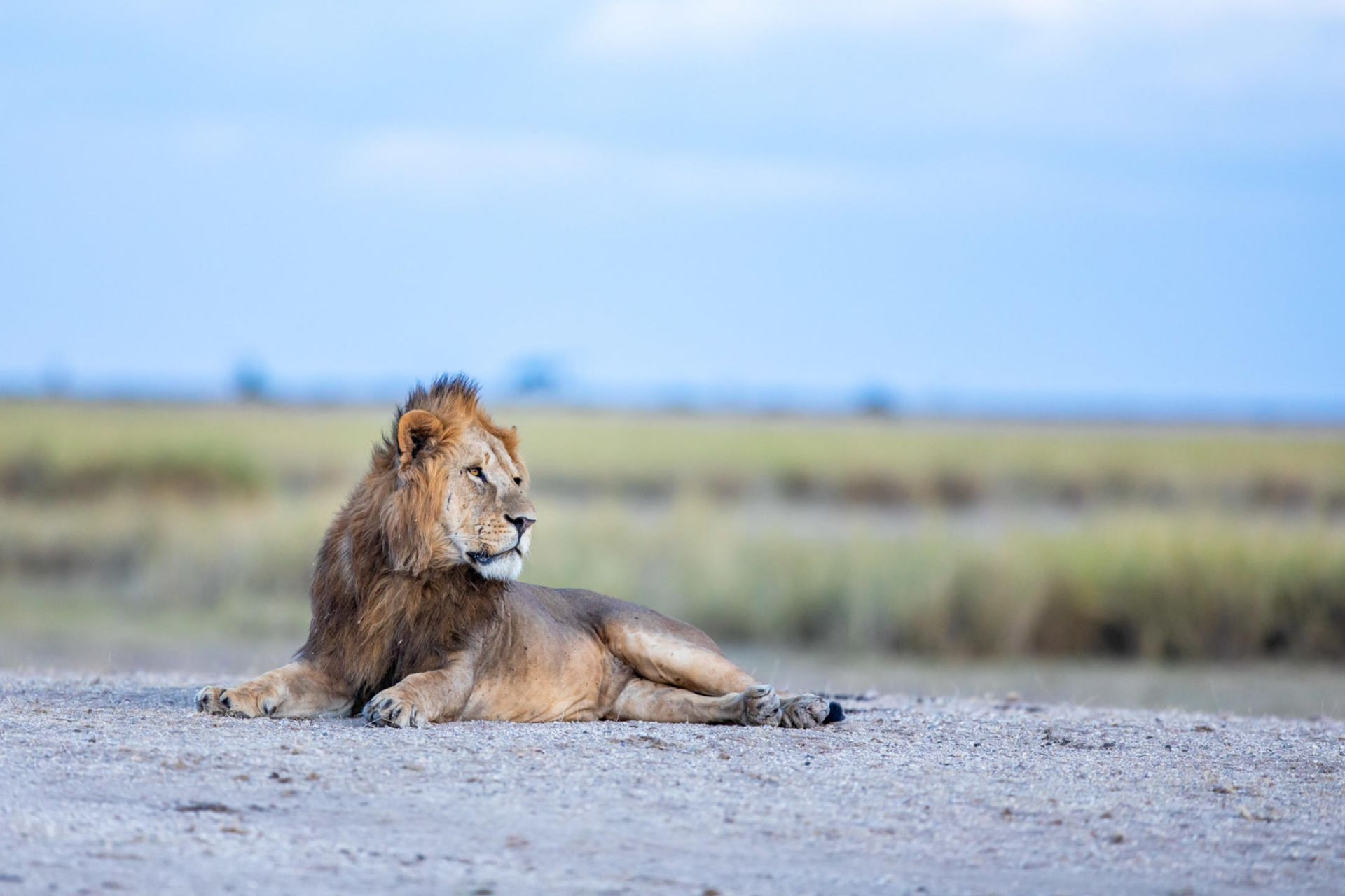 Angama Amboseli en Amboseli