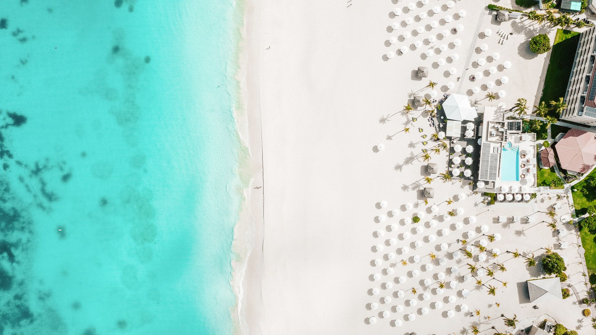 Bucuti & Tara Beach Resort en Aruba
