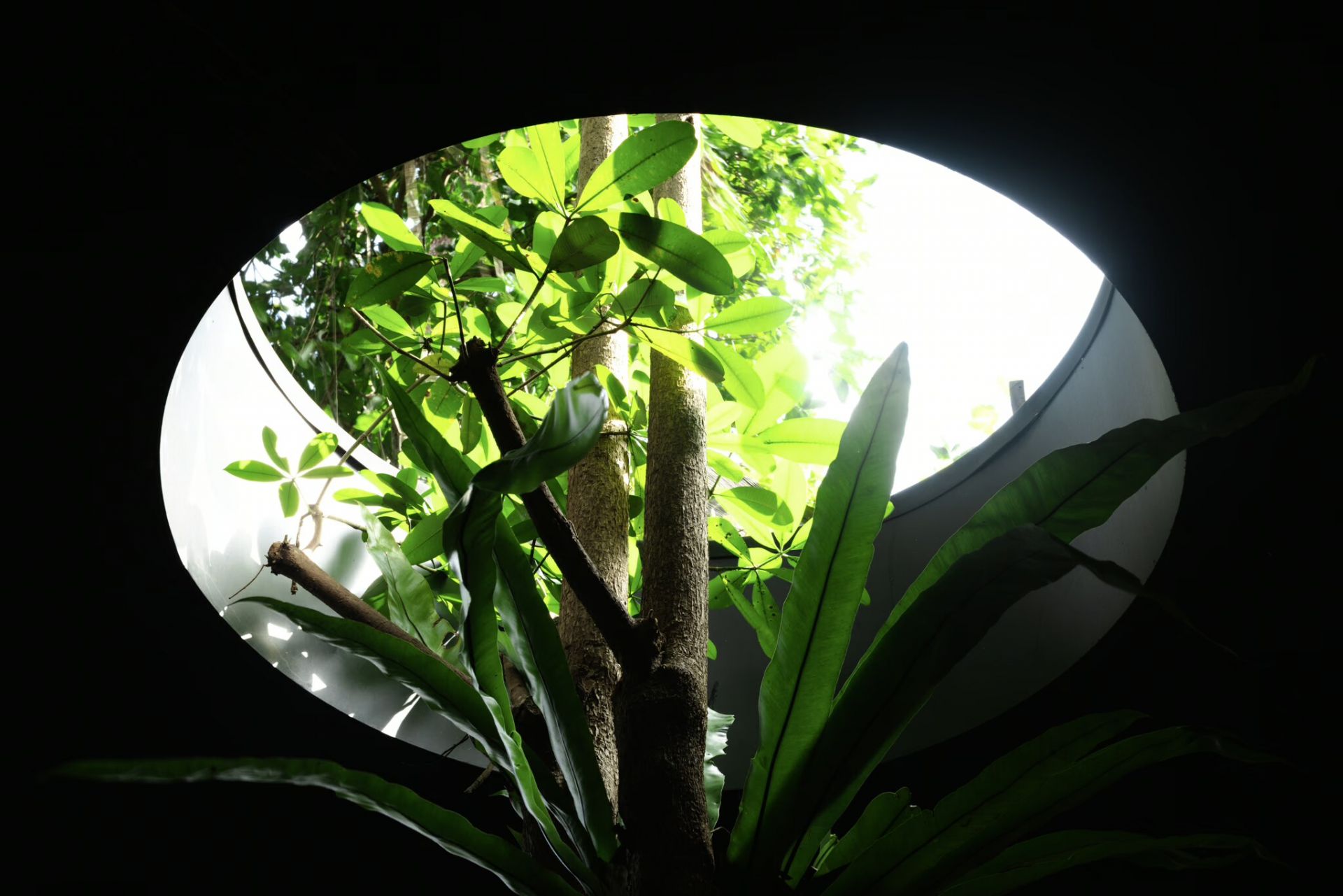 Lost Villa Bali en Canggu
