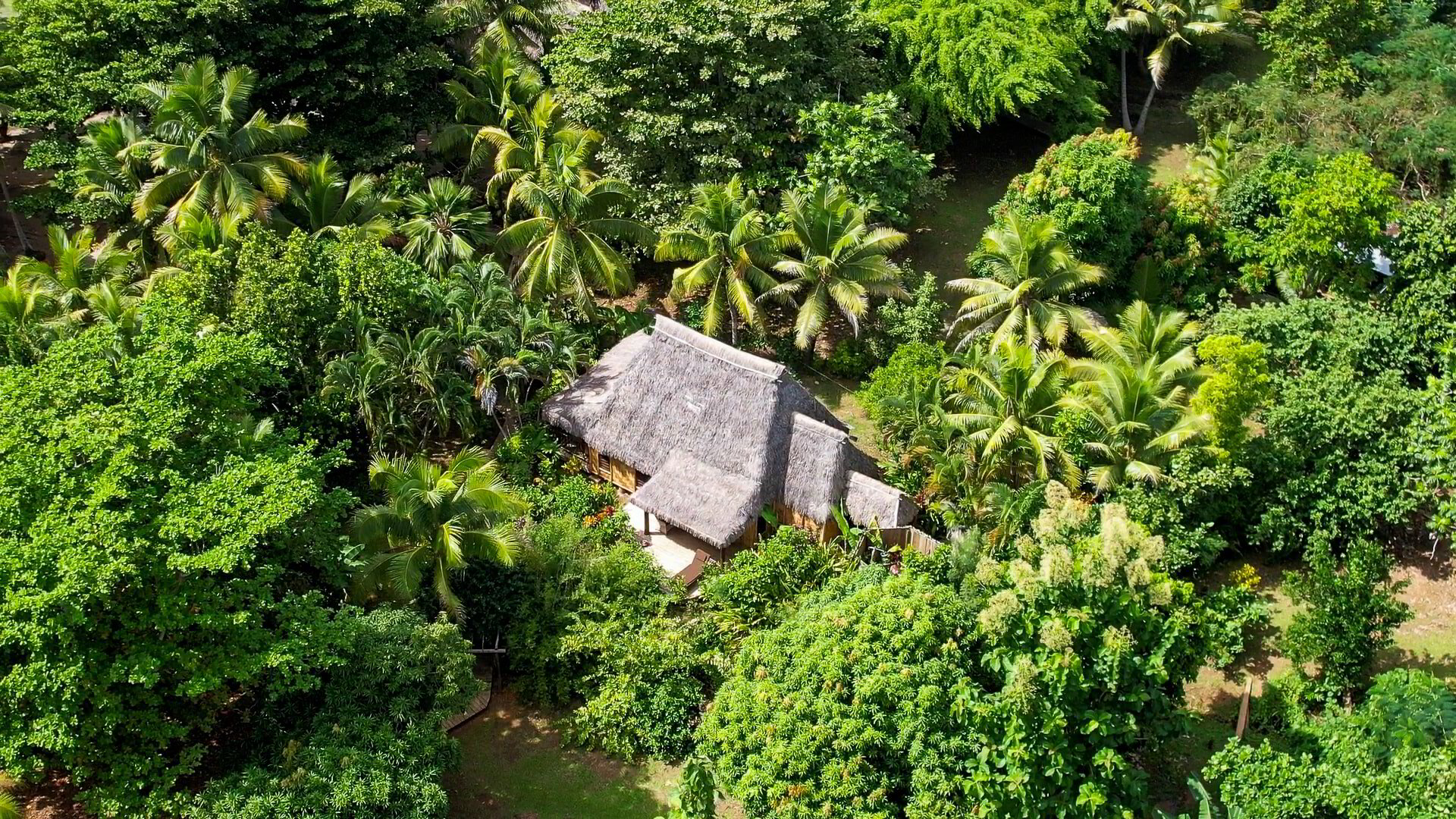 Oneta Resort en Fiji
