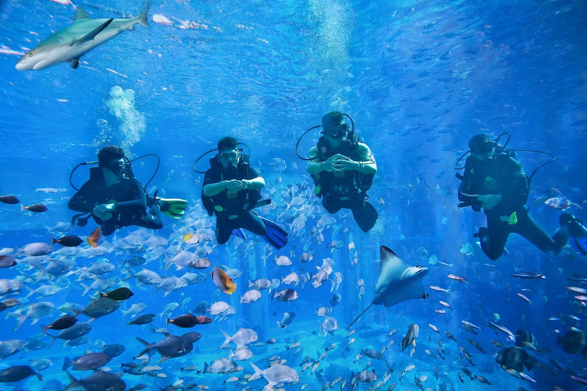 Atlantis Sanya en Sanya