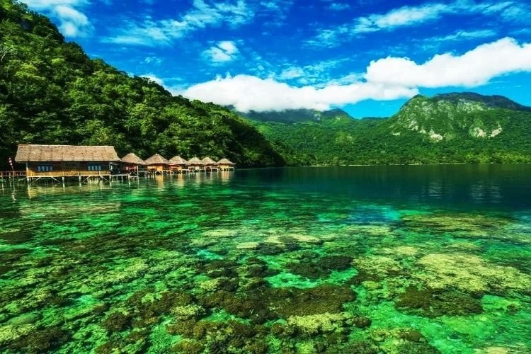 Ora Beach | LAT.40