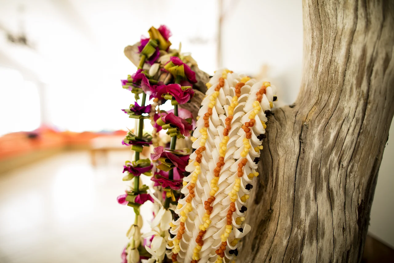 Fafarua Private Island & Lodge en Tikehau