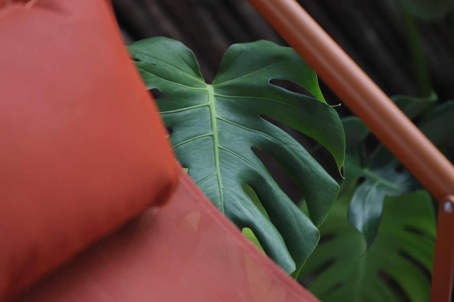 Origem Patacho Design Hotel en Maragogi