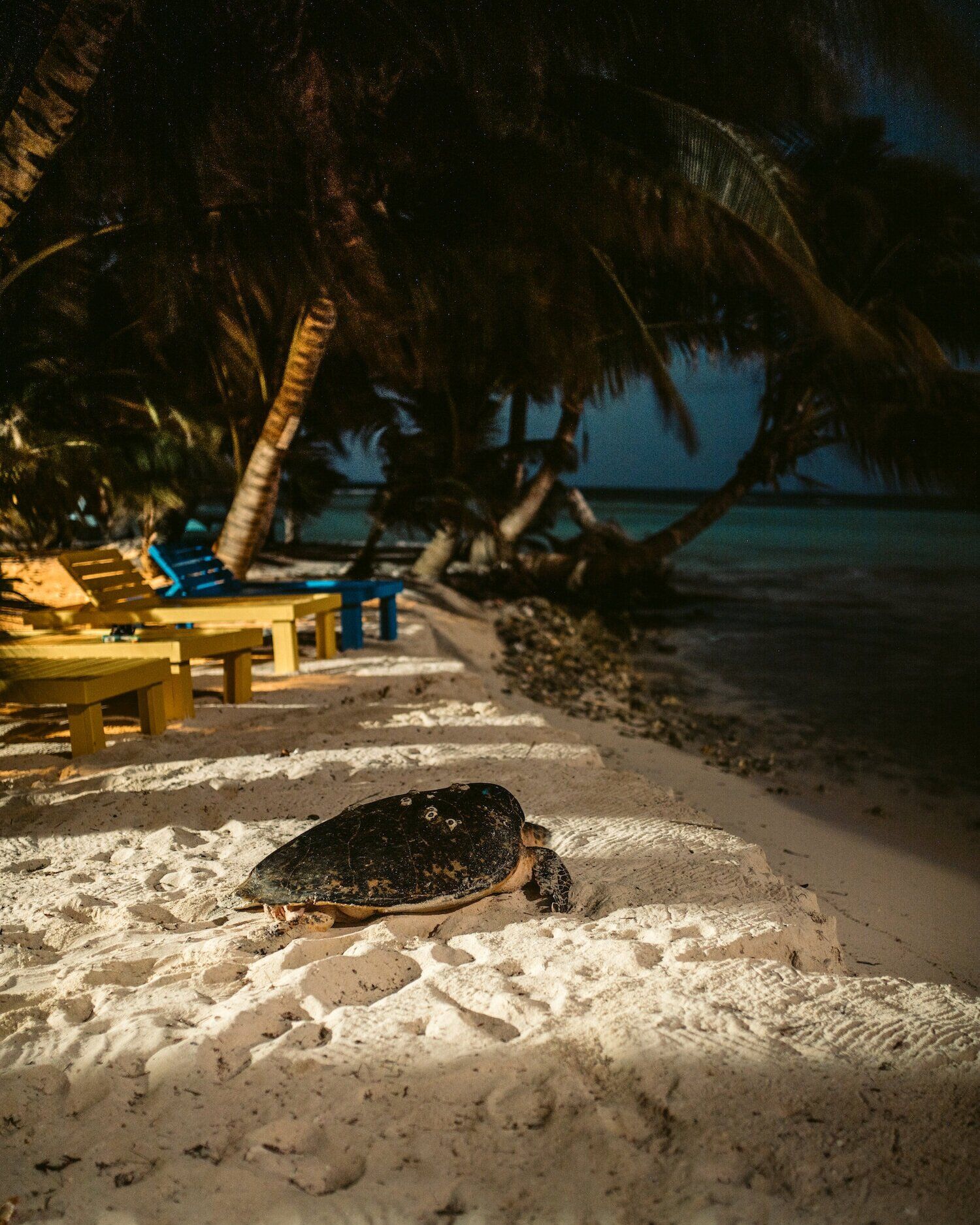 Ranguana Caye Cabanas en Ranguana Caye