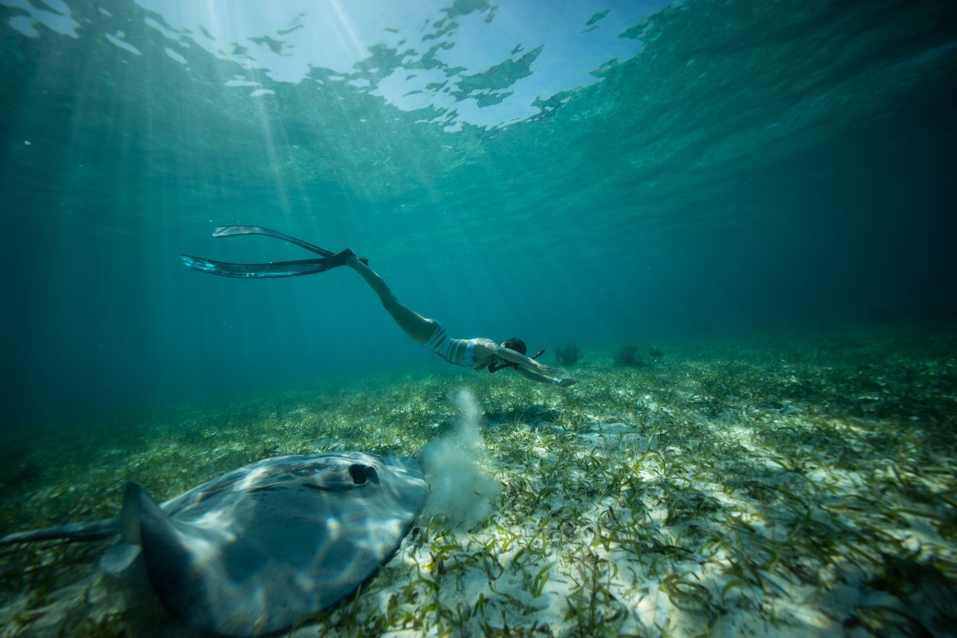 Ranguana Caye | LAT.40
