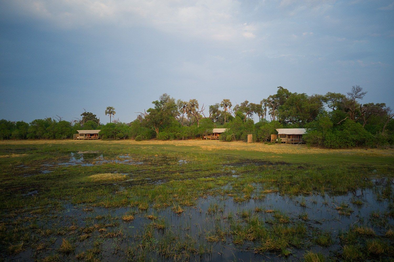 Amber River Camp, Delta del Okavango
