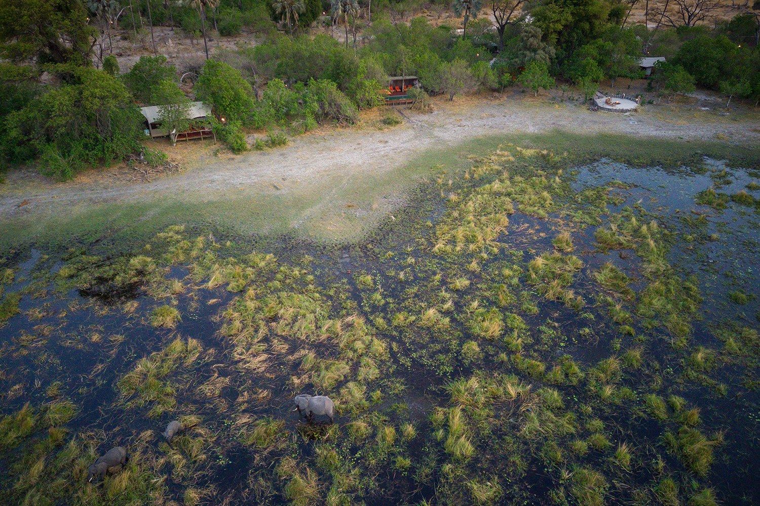 Amber River Camp, Delta del Okavango