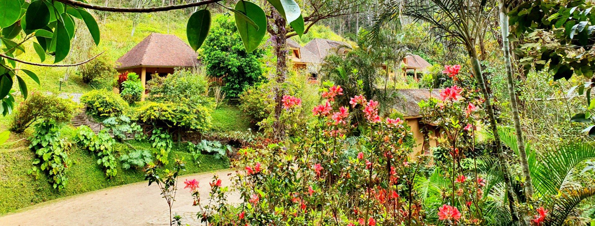 Vakona Forest Lodge en Andasibe
