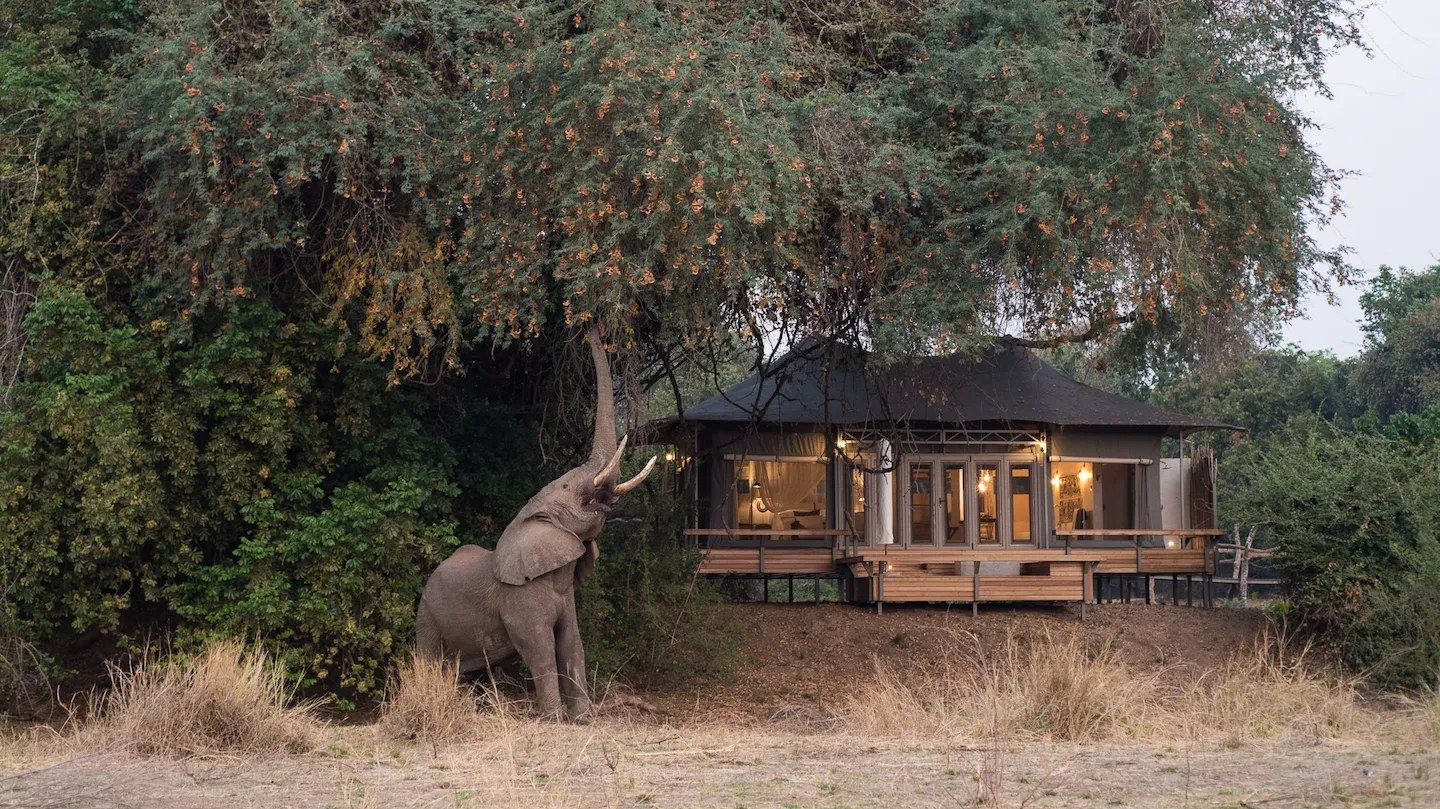 Chikwenya Game Lodge, Mana Pools