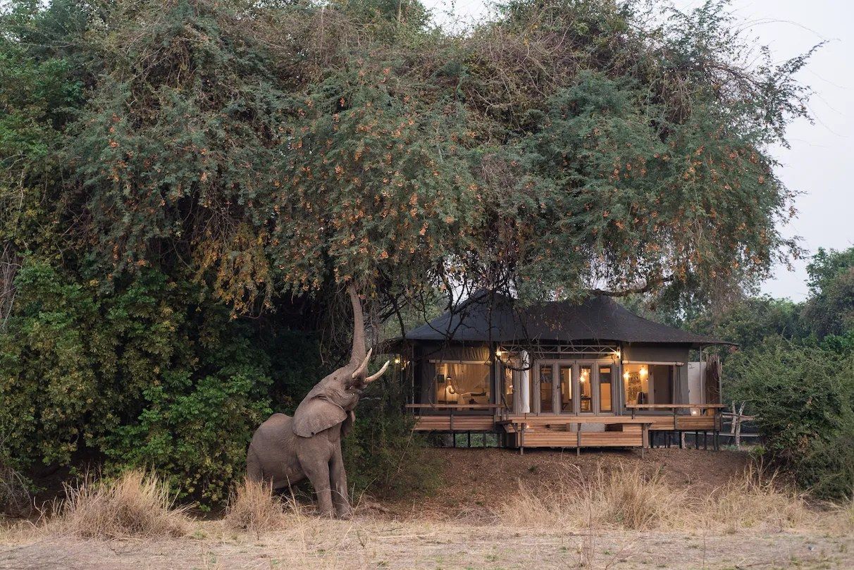 Chikwenya Game Lodge, Mana Pools
