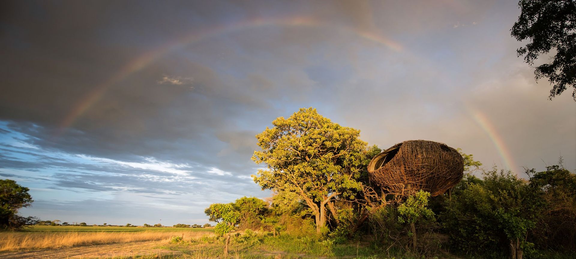 Chisa Busanga Camp en Busanga Plains