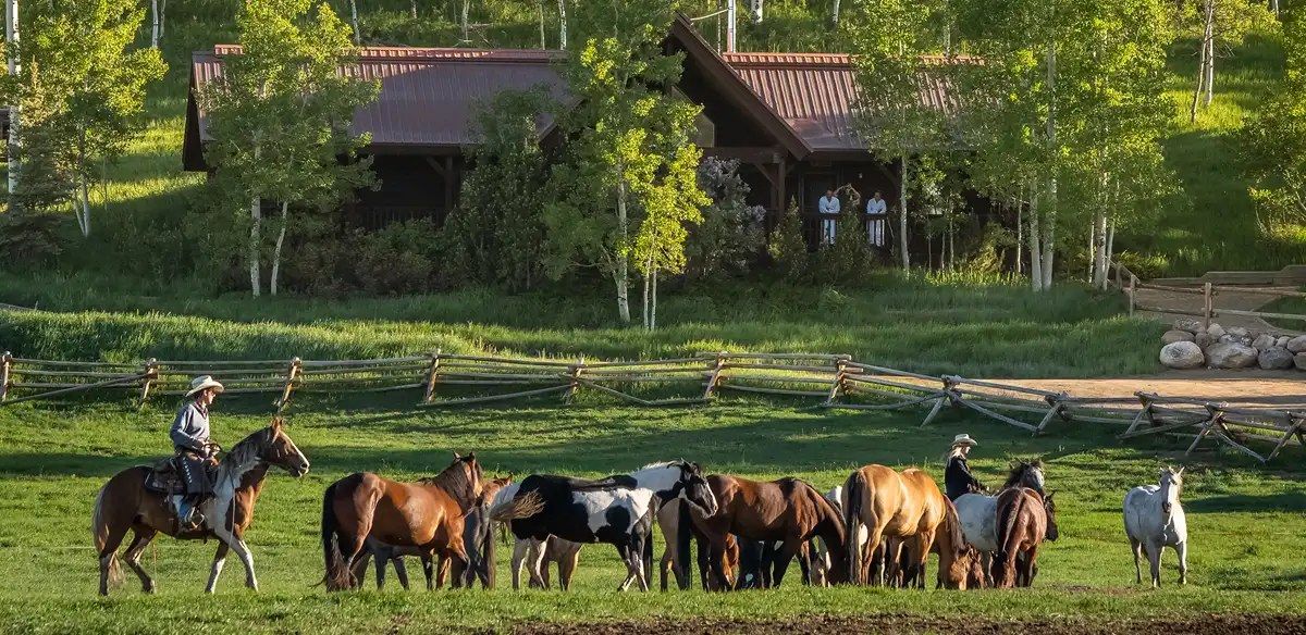 vista verde luxury resort ranch horse riding