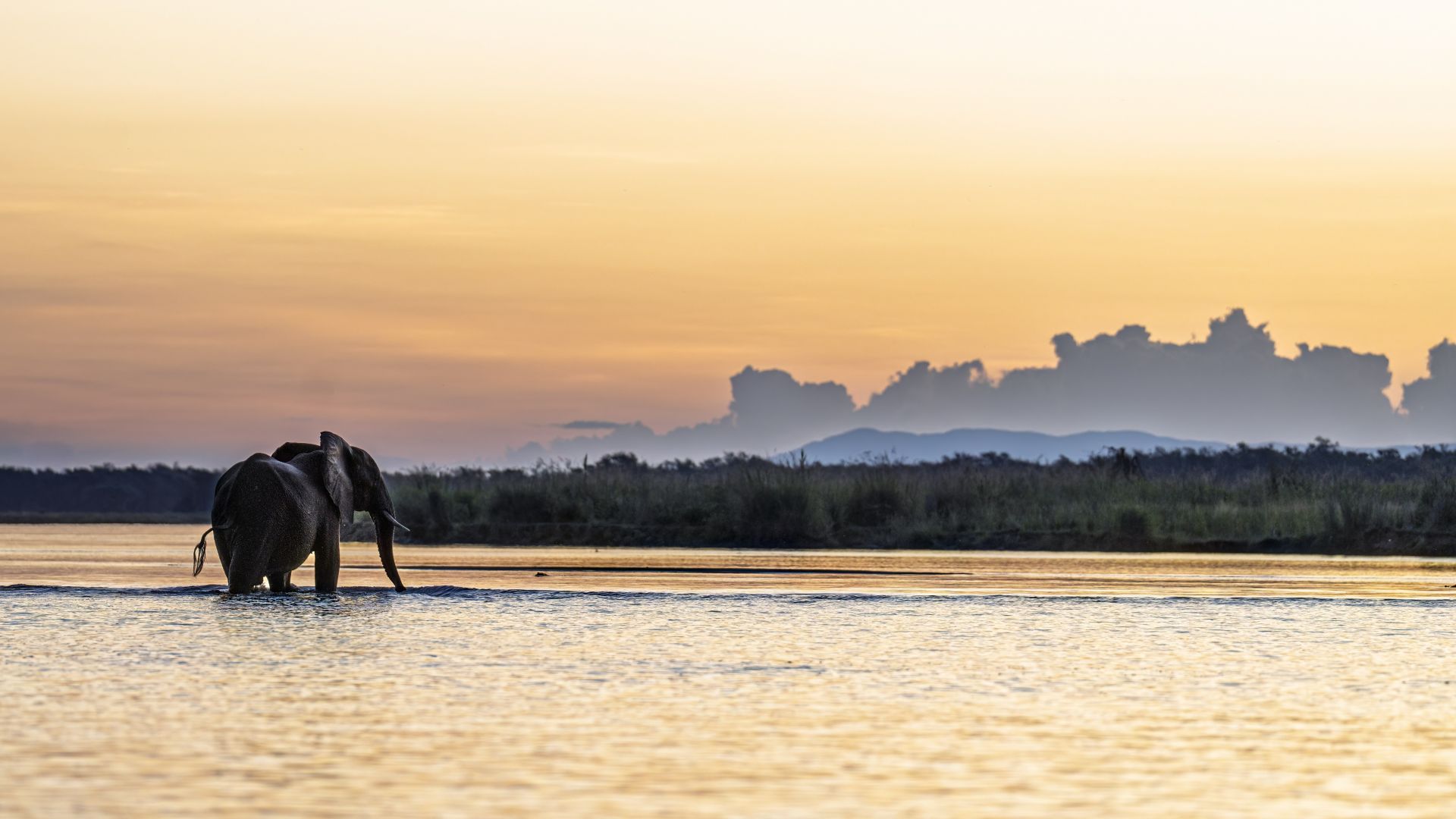 Dulini Anabezi, Lower Zambezi