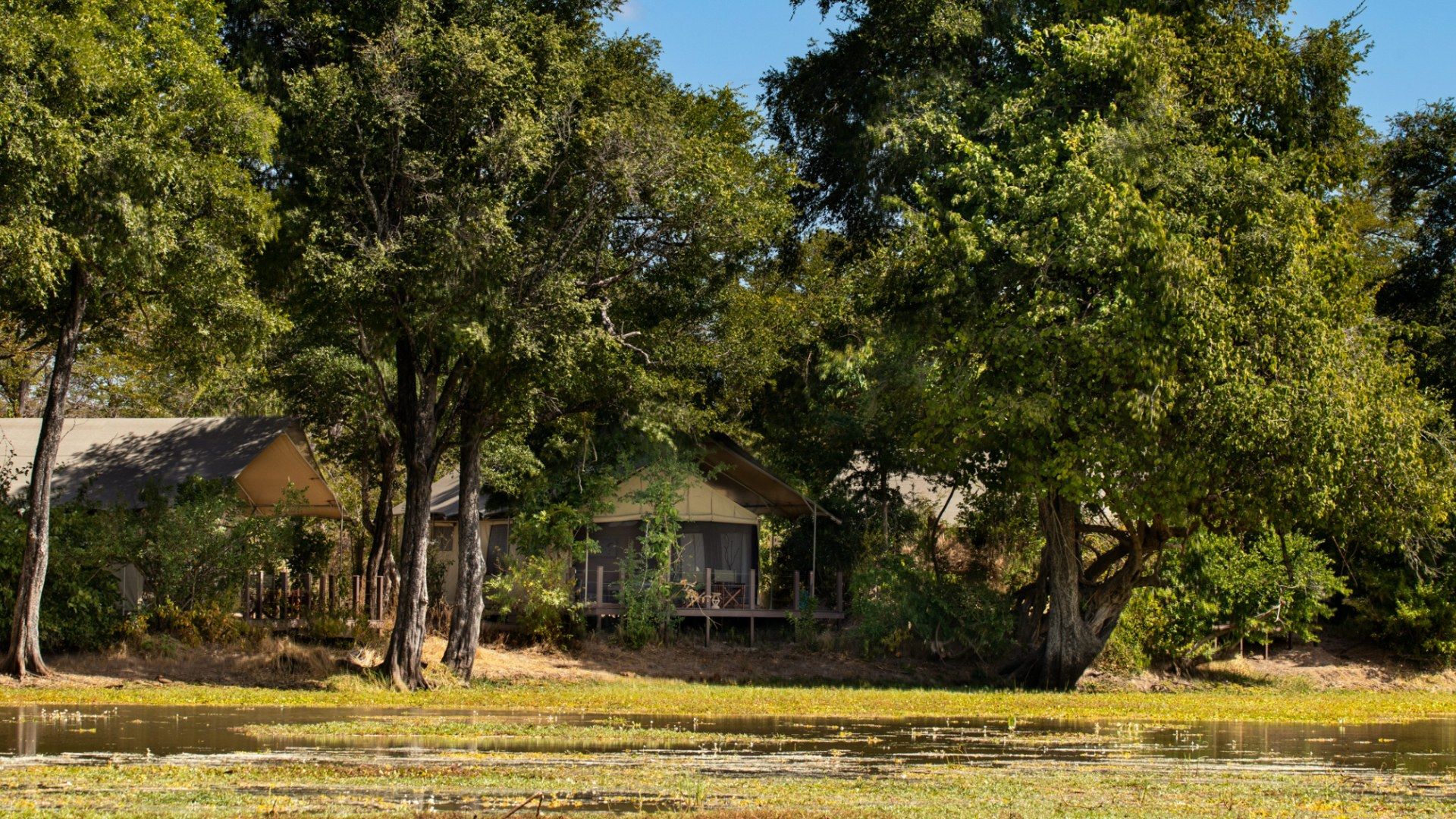 Ingwe Pan Camp, Mana Pools