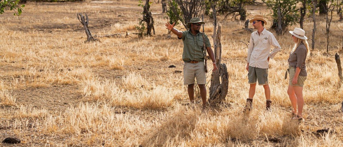 Ingwe Pan Camp, Mana Pools