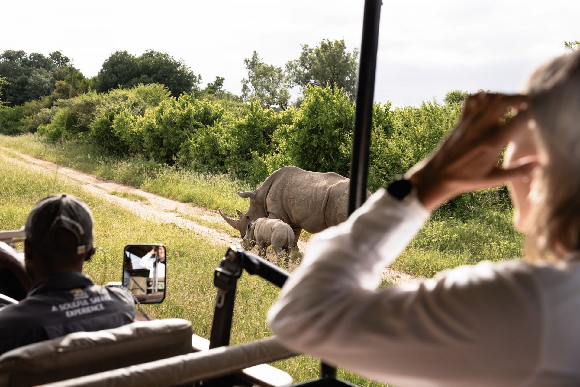 Jabulani en Kapama Private Game Reserve