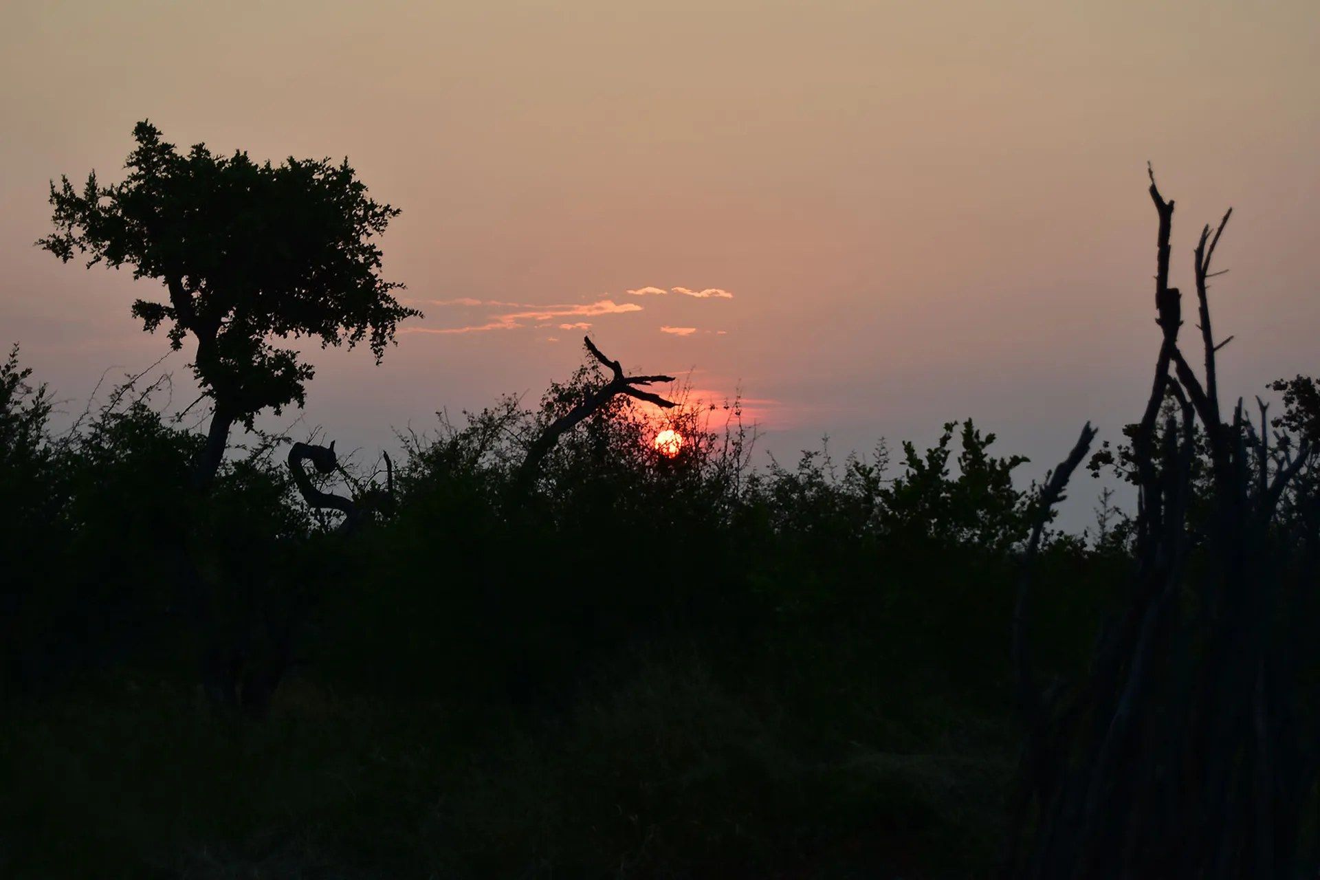 Rhulani Safari Lodge en Madikwe Game Reserve