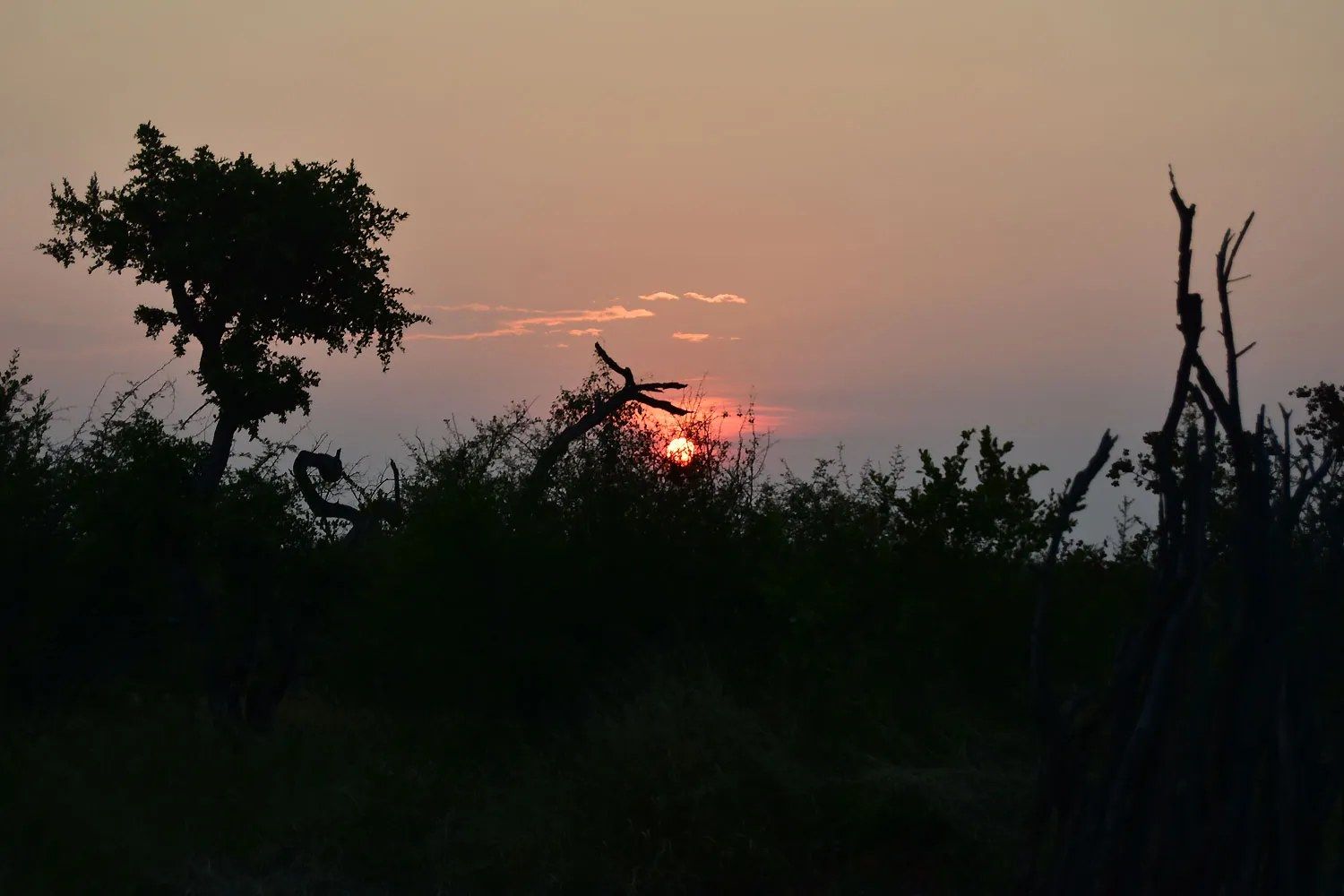 Rhulani Safari Lodge en Madikwe Game Reserve