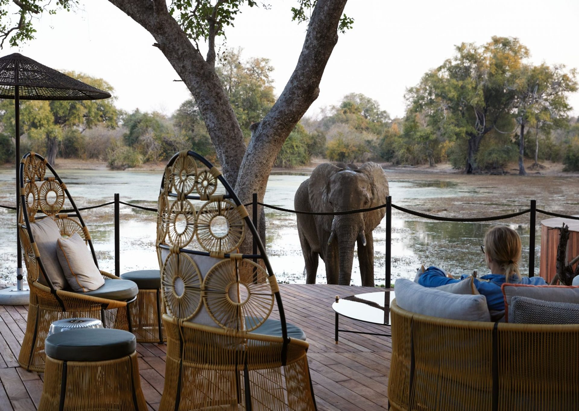 Molori Mashuma, Mana Pools