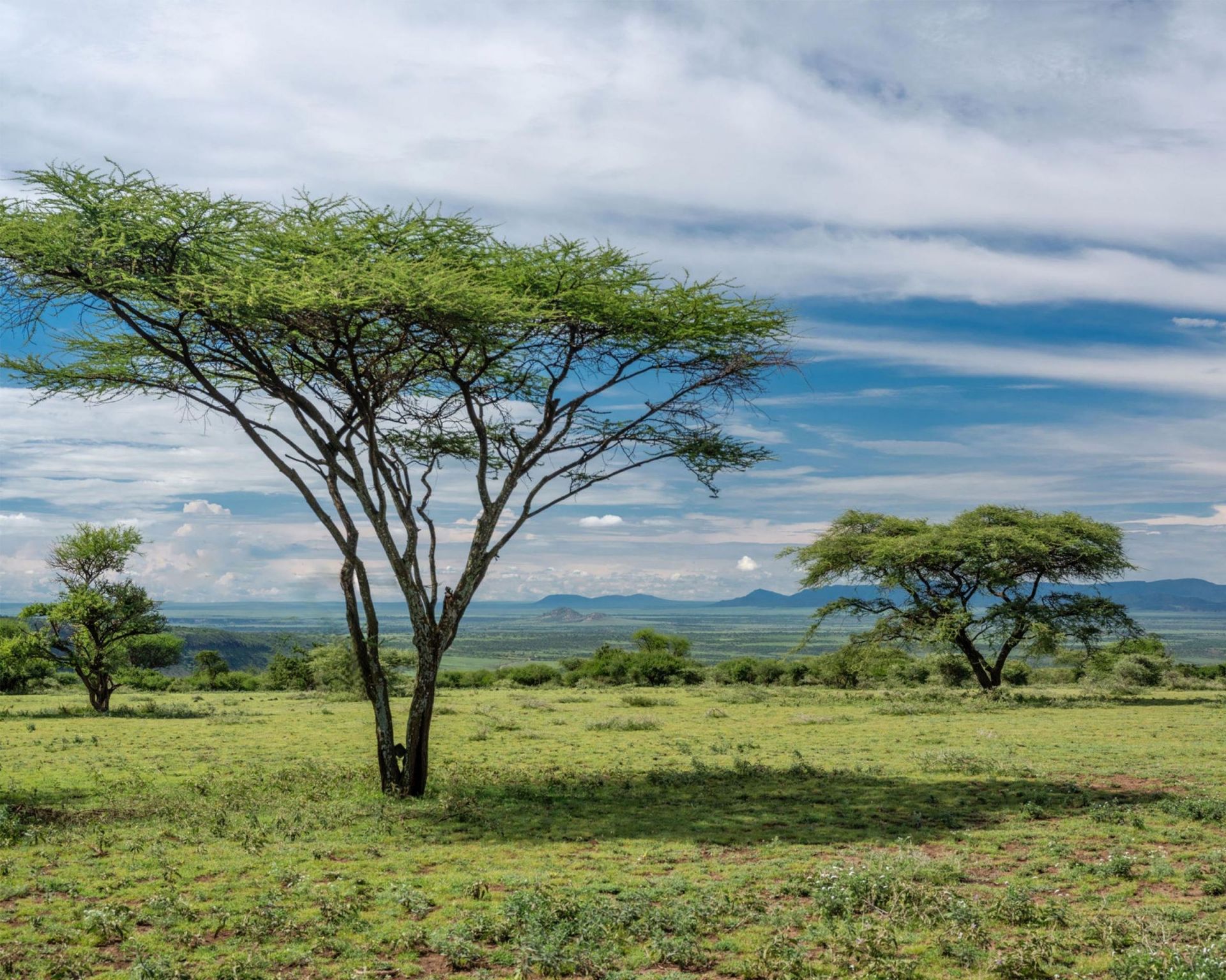 Ngorongoro Crater Camp, an A&K Sanctuary en Ngorongoro