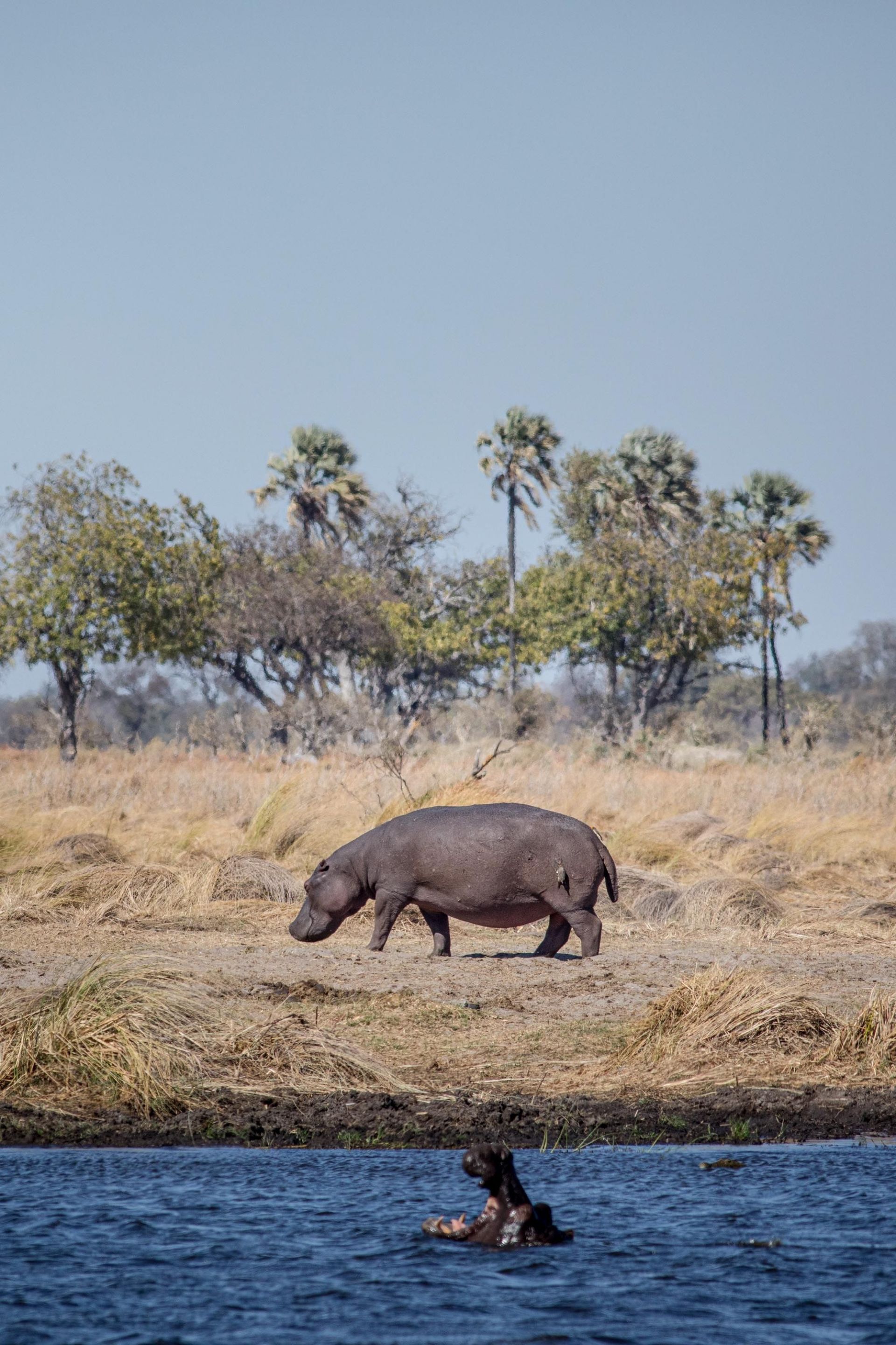 Ngorongoro Crater Camp, an A&K Sanctuary en Ngorongoro
