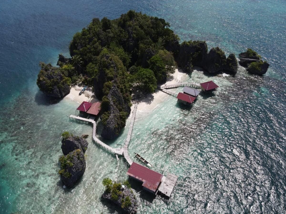 Nut Tonton Homes | LAT.40