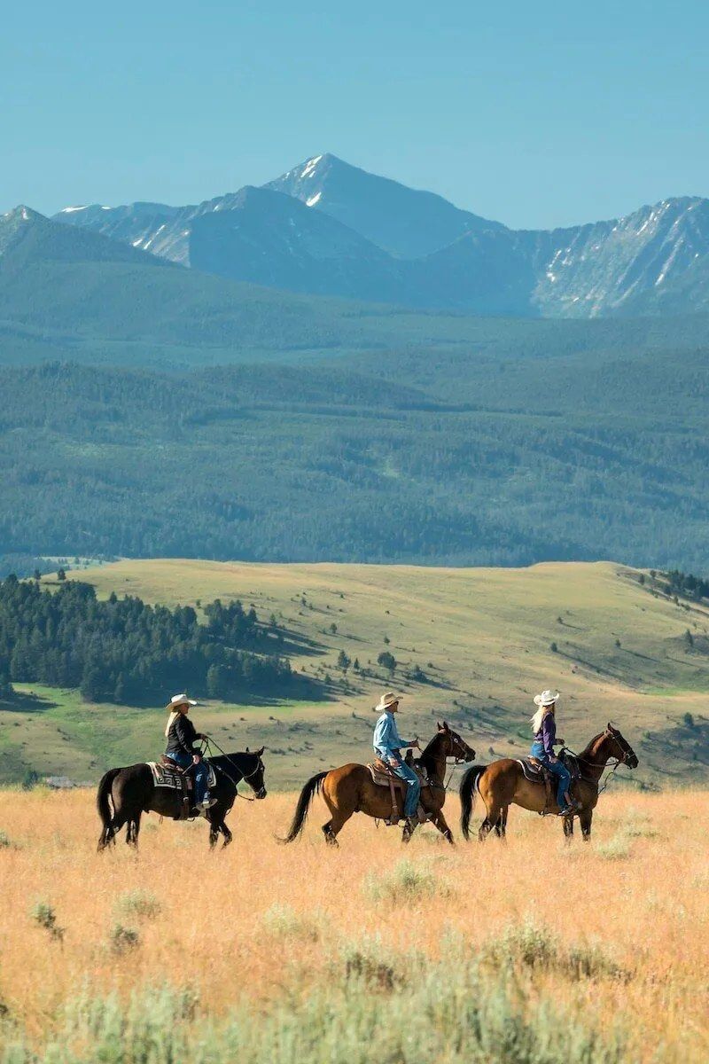 Horseback Riding Summer Thumbnail
