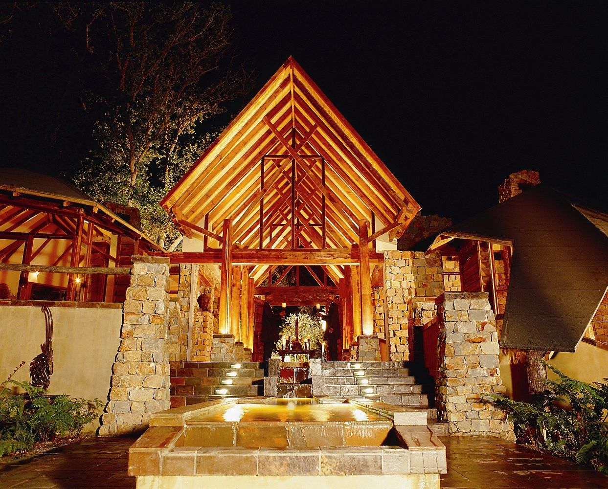 Tsala Rear View Night