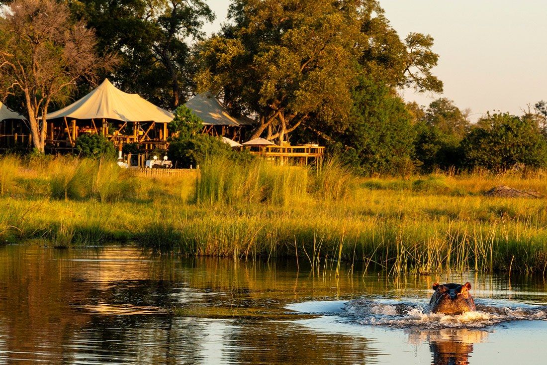 Tuludi Camp, Delta del Okavango